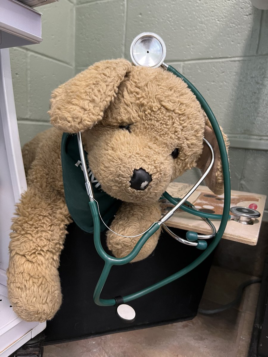 THE HERD HOUSE tweet media