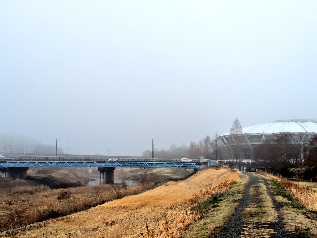 みゅー tweet media