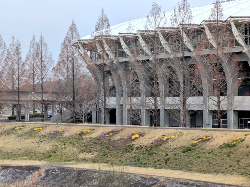 みゅー tweet media