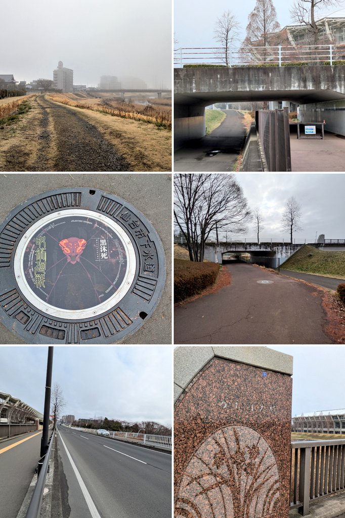 みゅー tweet media