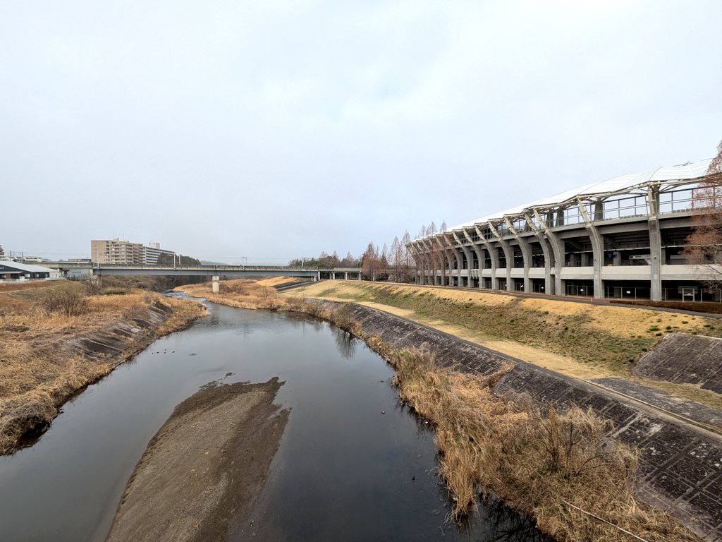 みゅー tweet media