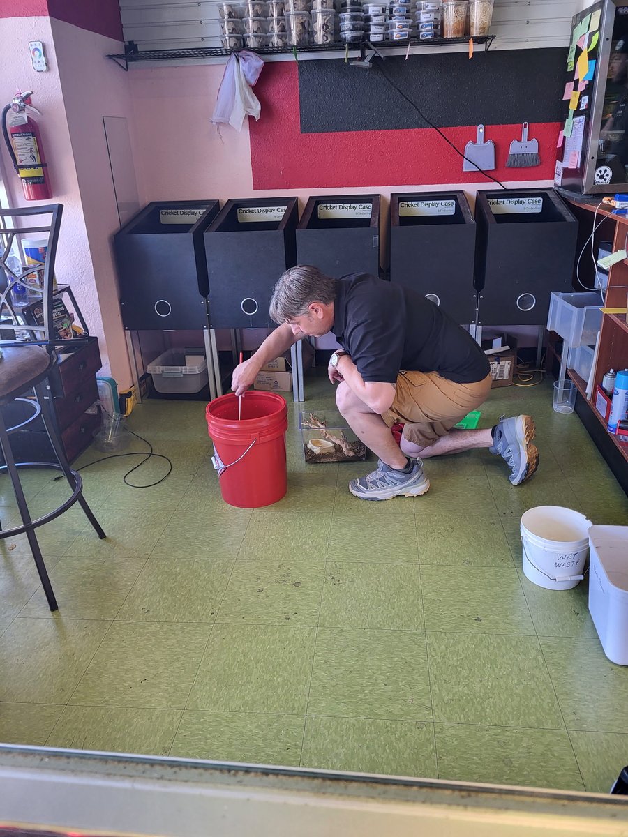 Denver Zoo Conservation Alliance tweet media