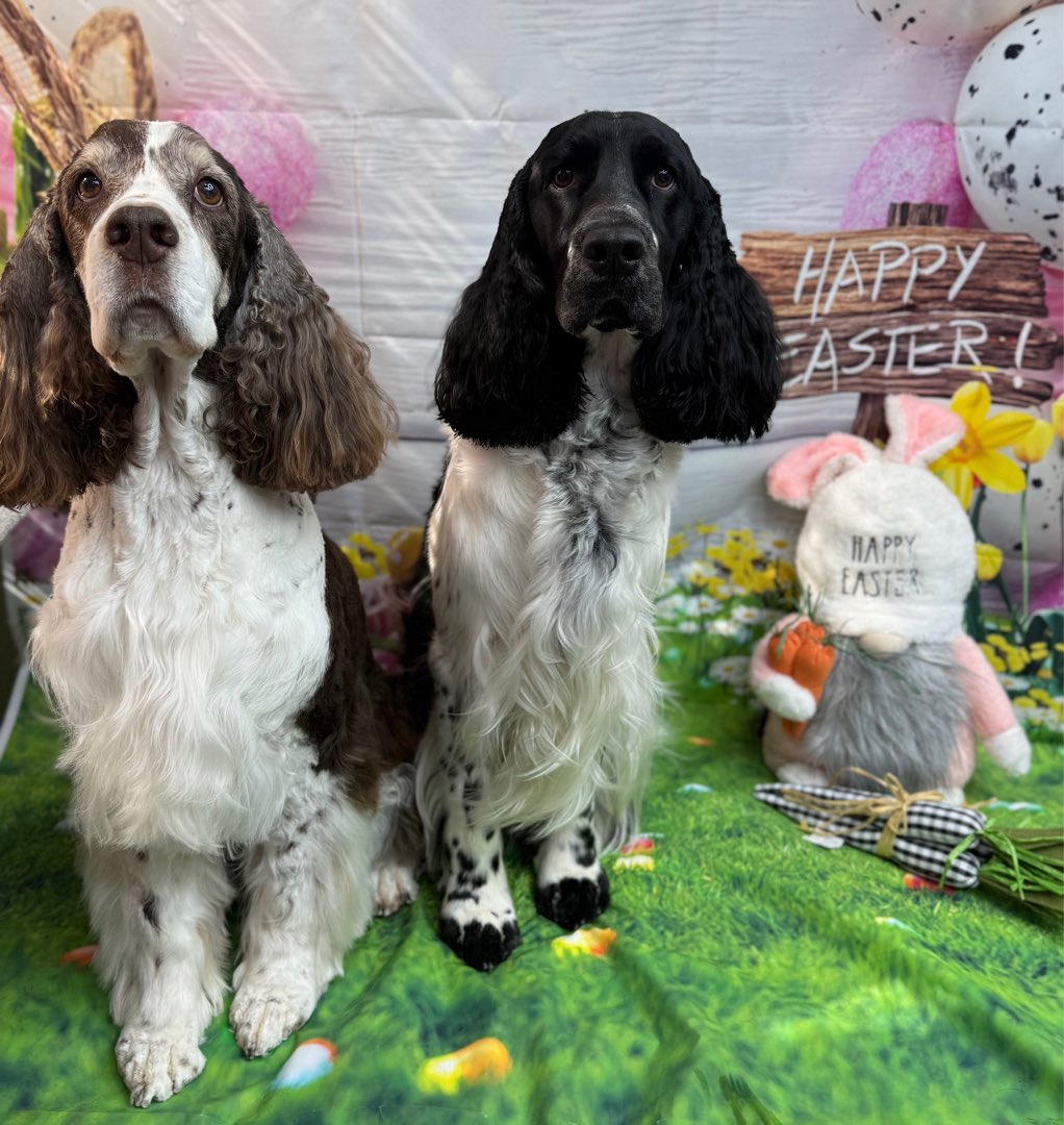 Scott Warner tweet media