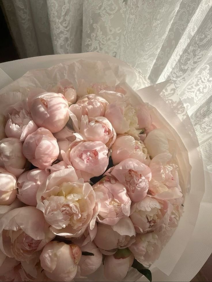 ෆ Jen ෆ tweet media