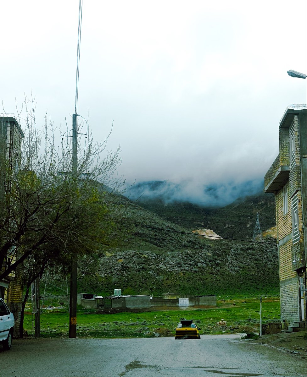 haniyejavanmrdi's tweet photo. خوب شد که به درک واصل شدی زحاک 
ایران داره بدون پلیدی تو دوباره نفس میکشه 

شیراز عزیزم 💚 https://t.co/1skRp29Z46