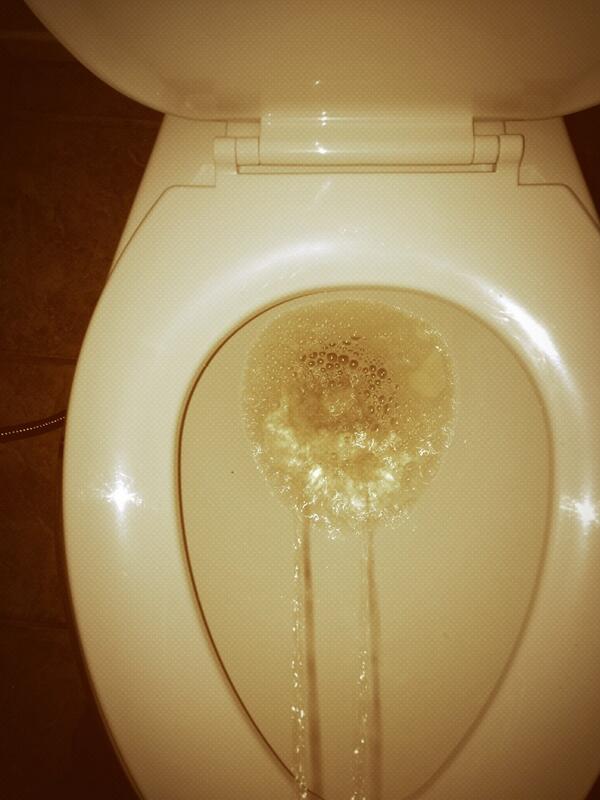 Turbo Giga Sky Azelle🕊️👻🪄🔗🦁♦️🖋️🥽🎫 🧚‍♂️🪽 tweet media