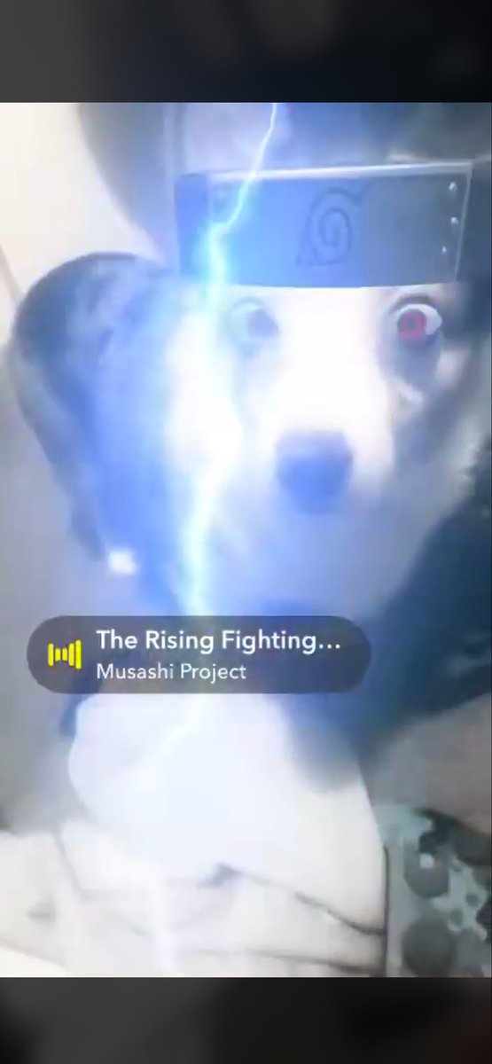 PCVR STUDIOS LLC ™ tweet media