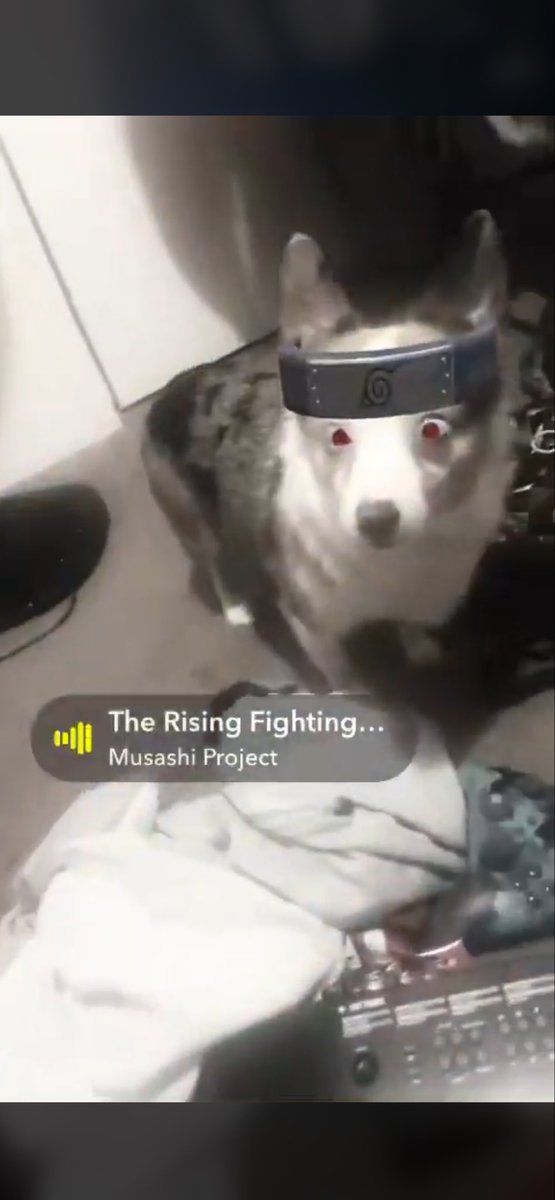 PCVR STUDIOS LLC ™ tweet media