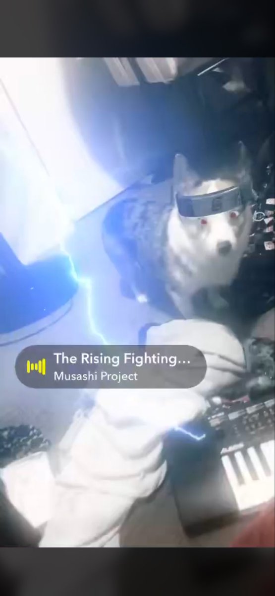 PCVR STUDIOS LLC ™ tweet media