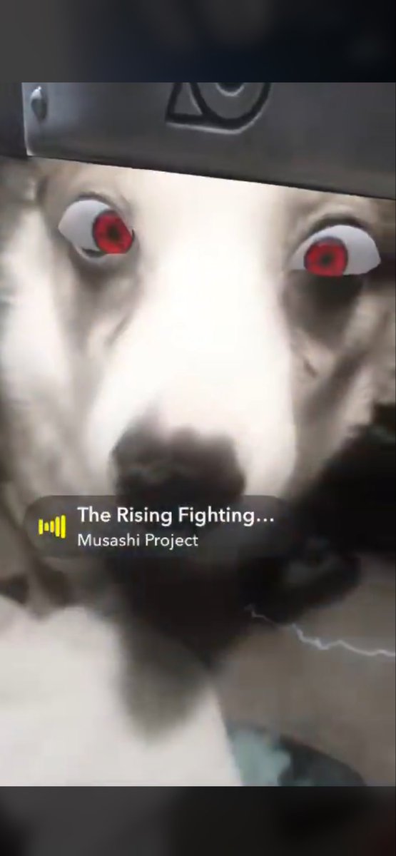 PCVR STUDIOS LLC ™ tweet media