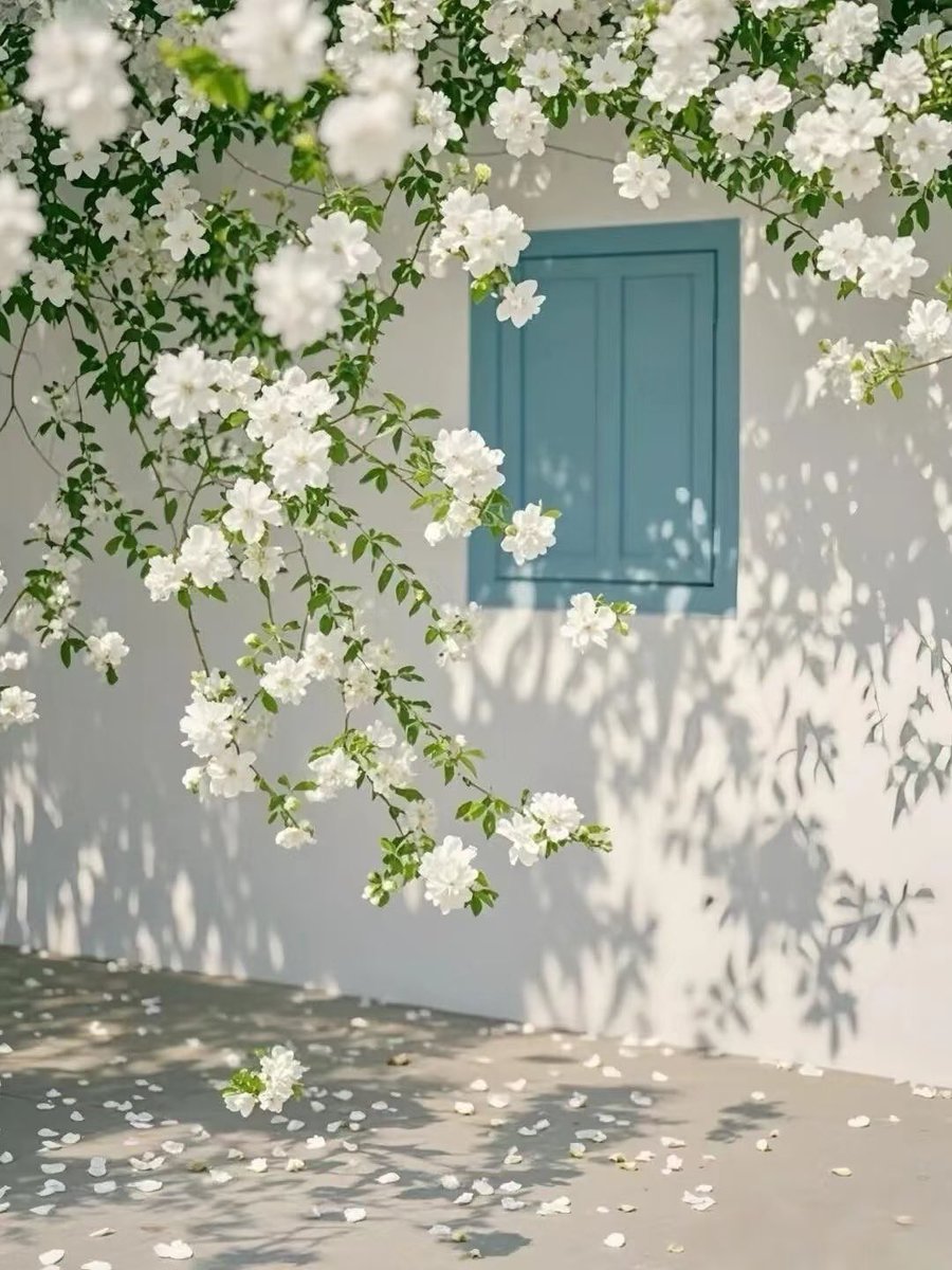 人生海海 tweet media