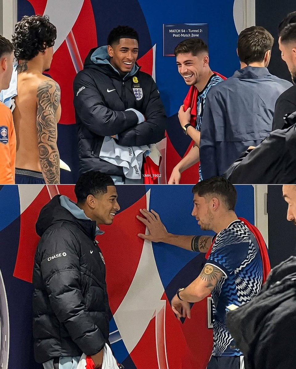 محمود tweet media