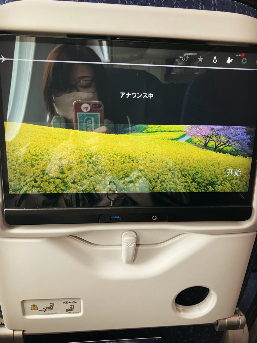 狸小路ぽん子（テルミンを弾く猫） tweet media