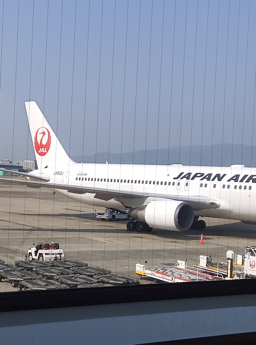 古都ノ葉 彩 イロドリ@カブのり🎀 tweet media