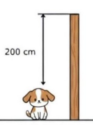 Grob 2.0 tweet media