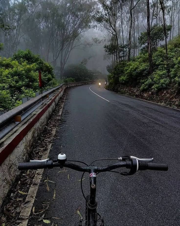 𝗦𝗮𝗺 𝗫 tweet media