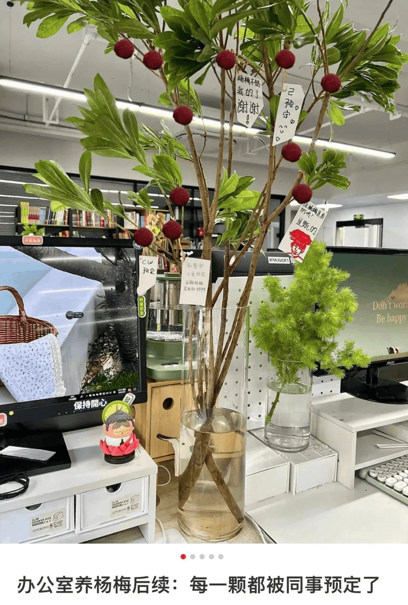 johan bester tweet media