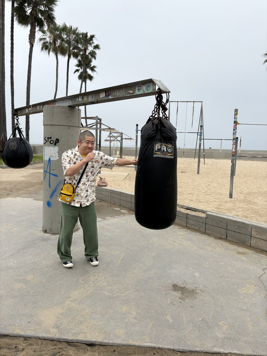 ハライチマネージャー tweet media