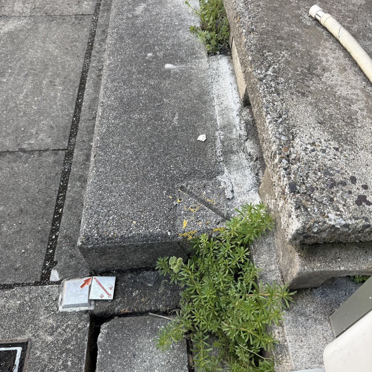 こうちゃん🪼 tweet media