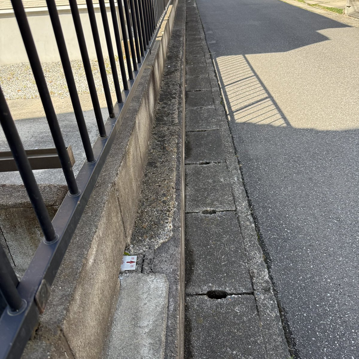 こうちゃん🪼 tweet media