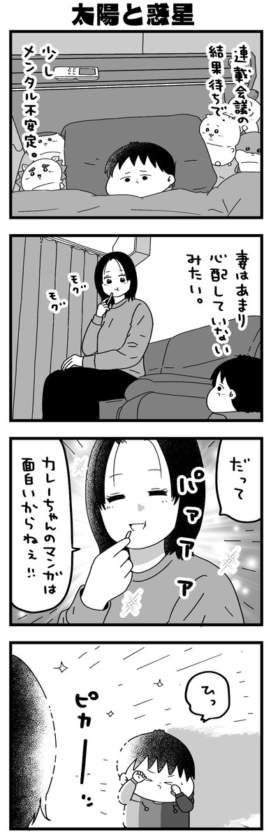 カレーとネコ tweet media