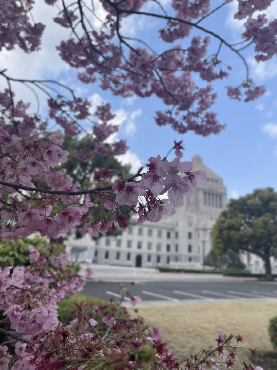 鈴木憲和 tweet media