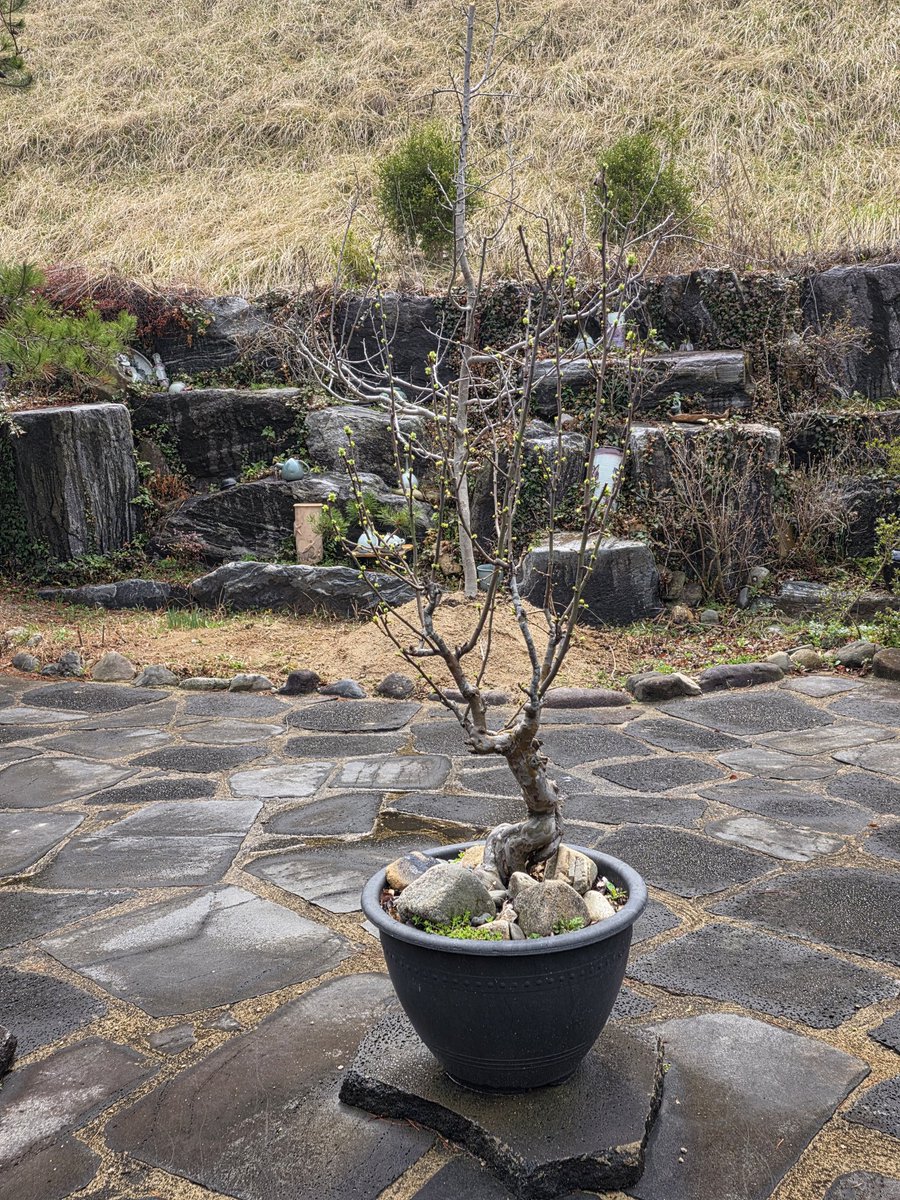 국민의힘 전남도당 위원장 tweet media