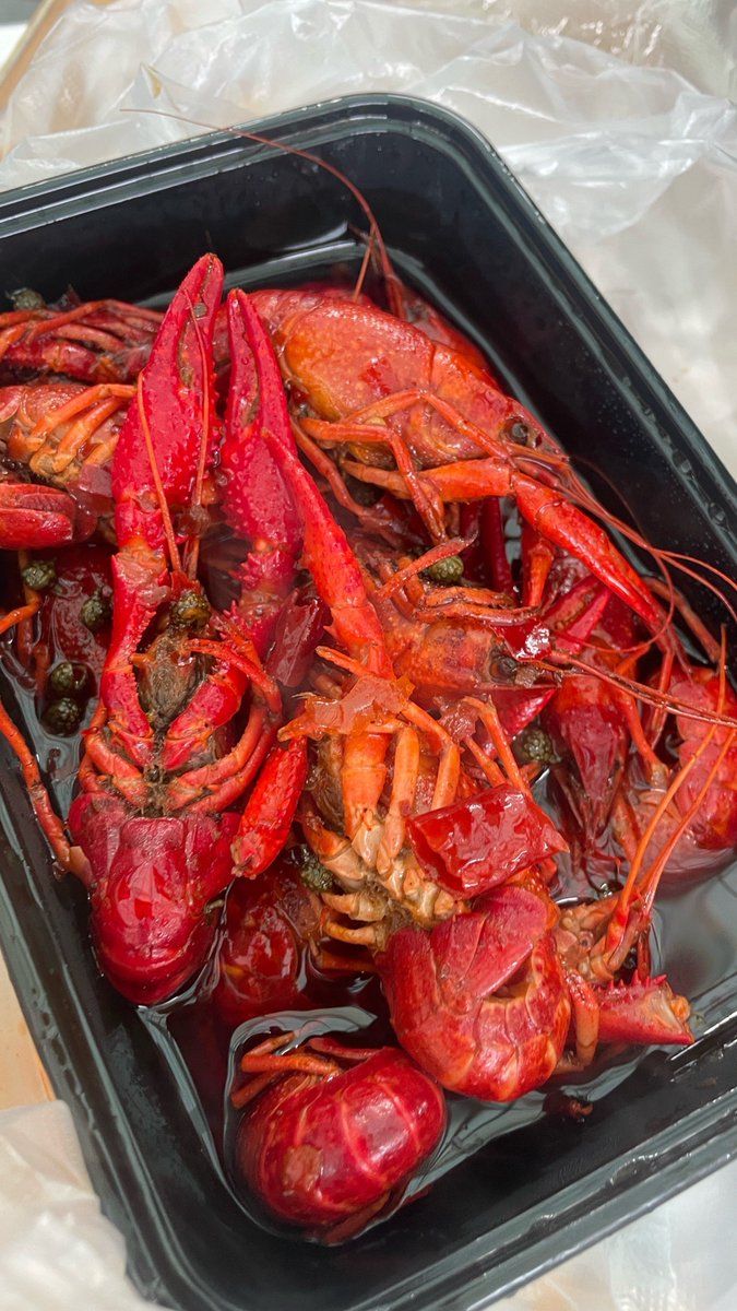 marlyn rolida tweet media