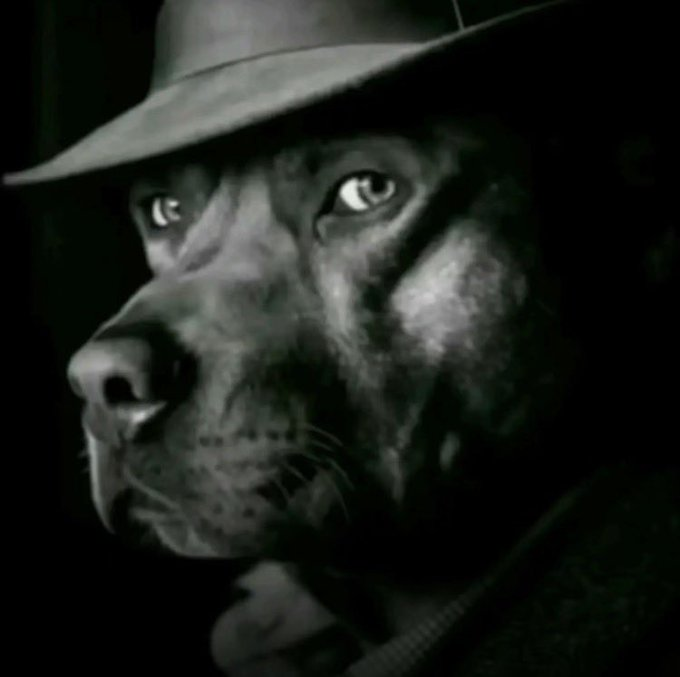 cycleofhate tweet media