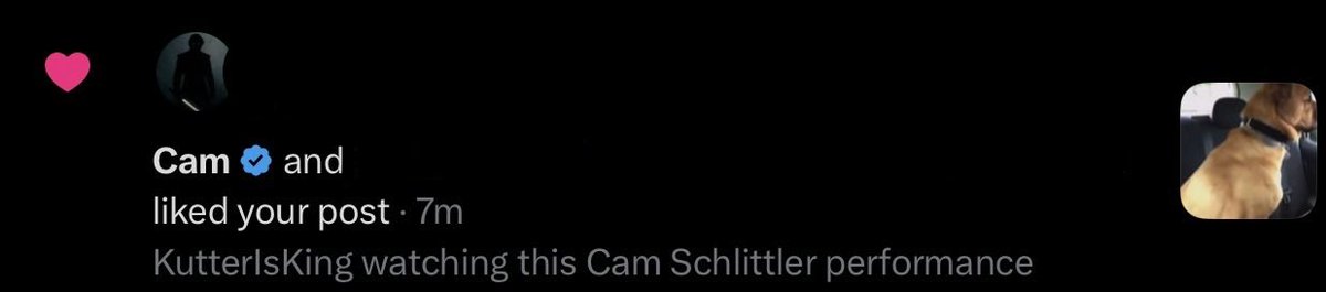 ColeIsKing tweet media