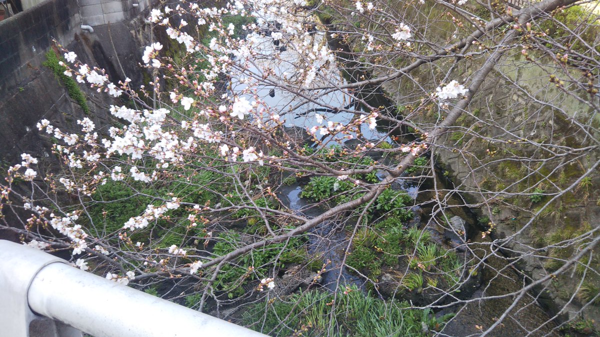 ぬれサンダル@エンタメ tweet media