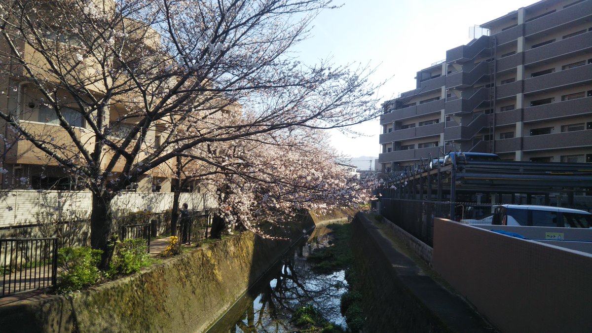 ぬれサンダル@エンタメ tweet media