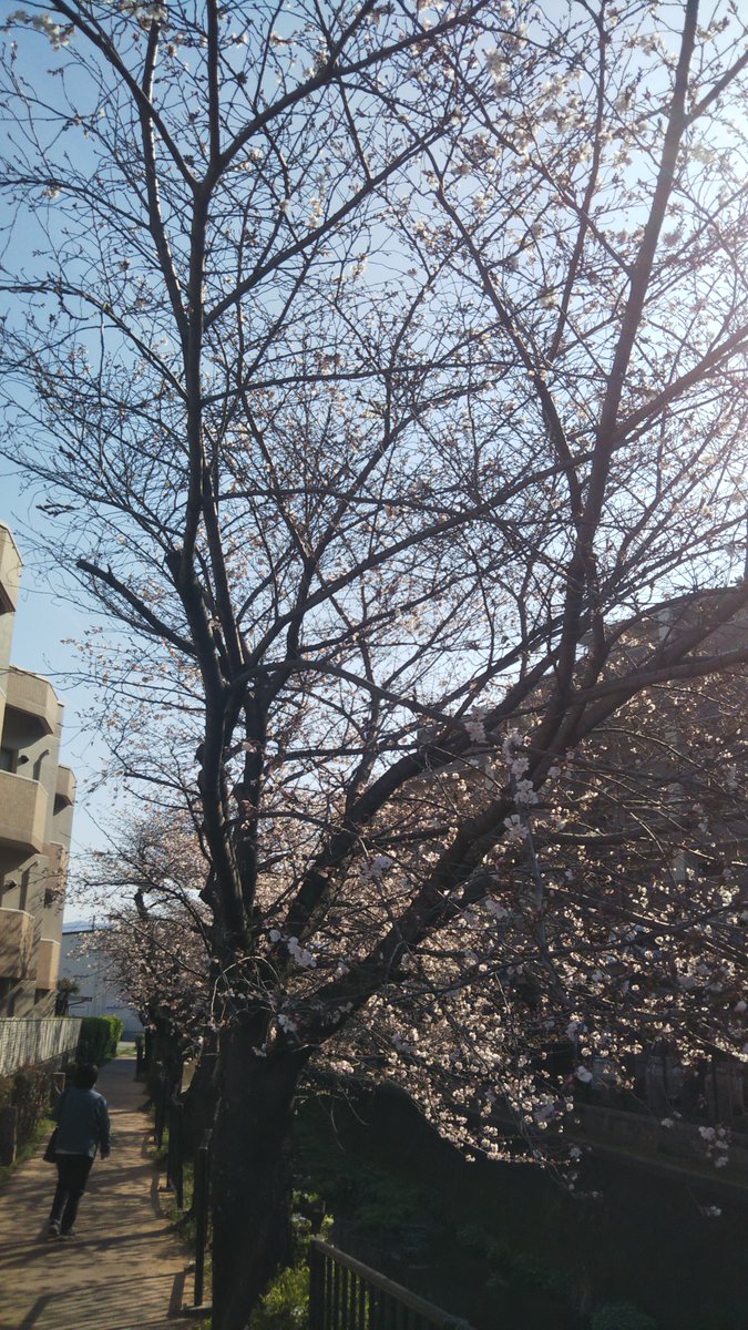 ぬれサンダル@エンタメ tweet media