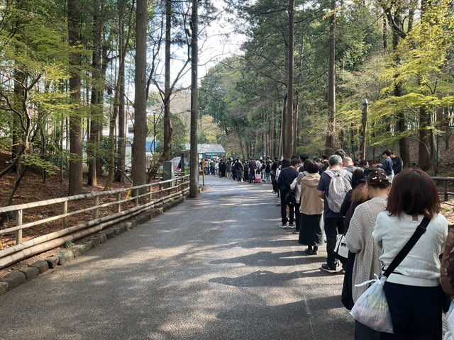 市川市動植物園（公式） tweet media