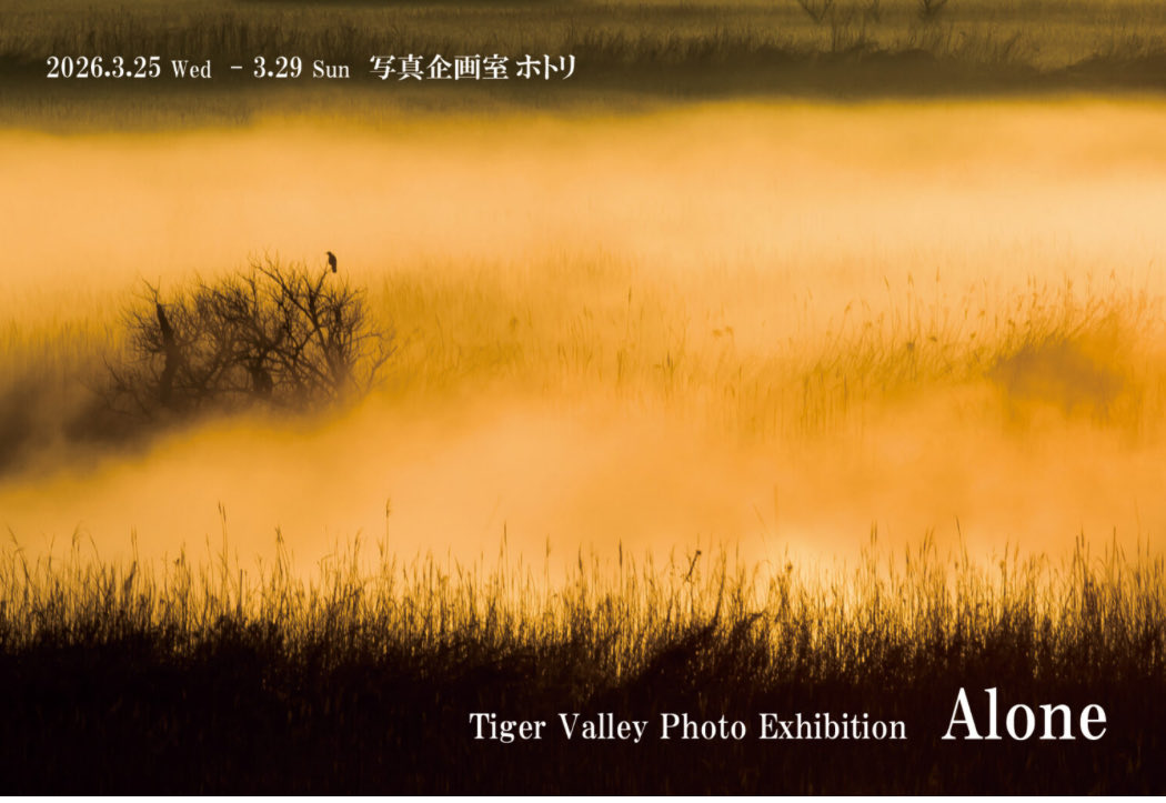 LOOP999K's tweet image. JR浅草橋駅徒歩5分の写真企画室ホトリへ
虎谷泰輔さんの写真展「Alone」にお伺いしました
1階はお人柄か穏やかさを感じる風景写真で癒しの空間、2階のポートレートはモデルあずりなさんが様々な表現でお迎えします
3/29（日）まで
#虎谷泰輔
#TigerValley
#Alone
#写真企画室ホトリ
@azurina_cc