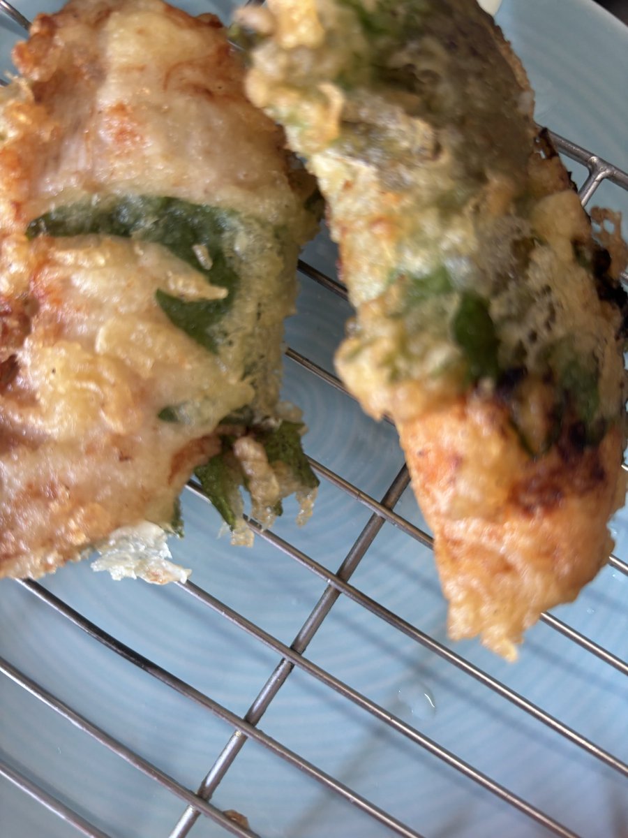 ちゃむこ tweet media