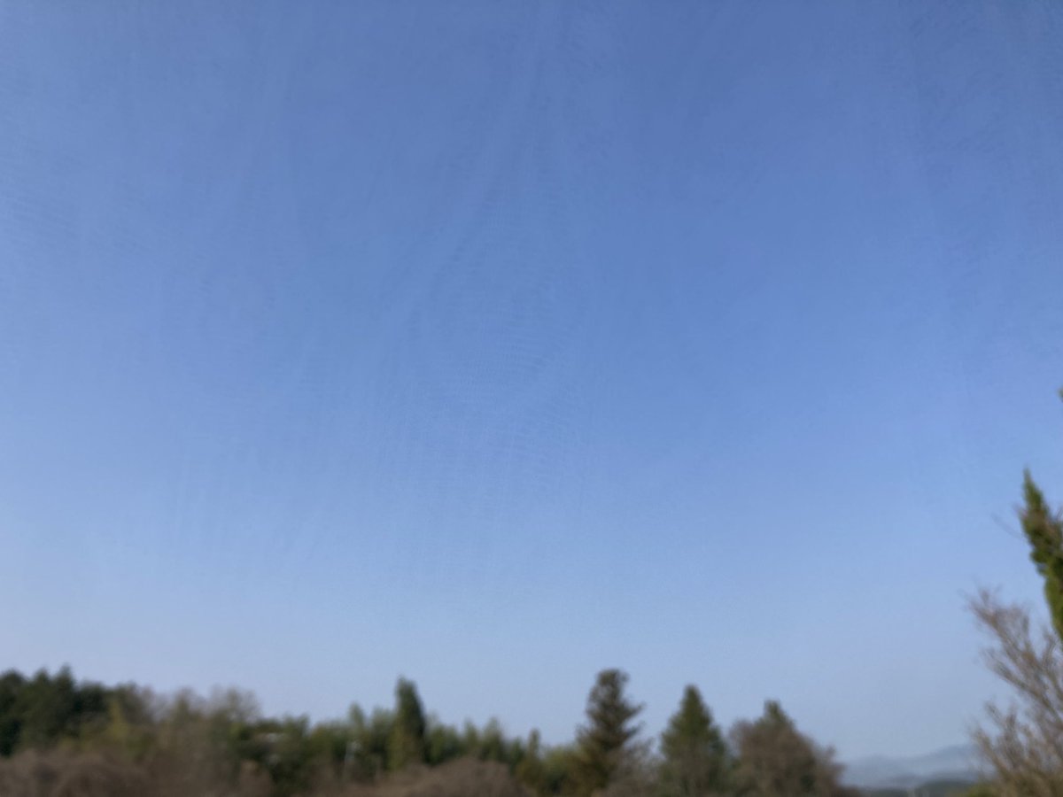 まるまる@お疲れちゃん tweet media