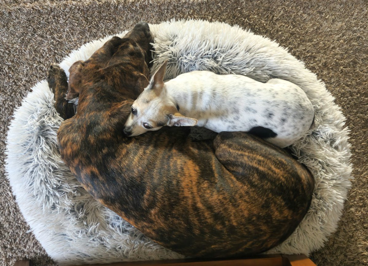 itsfarnow🏴 tweet media