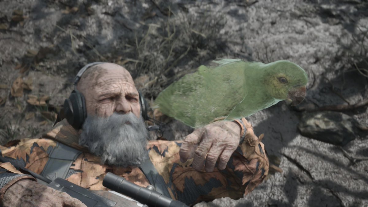 Elyel 🎮Ω🐍 tweet media