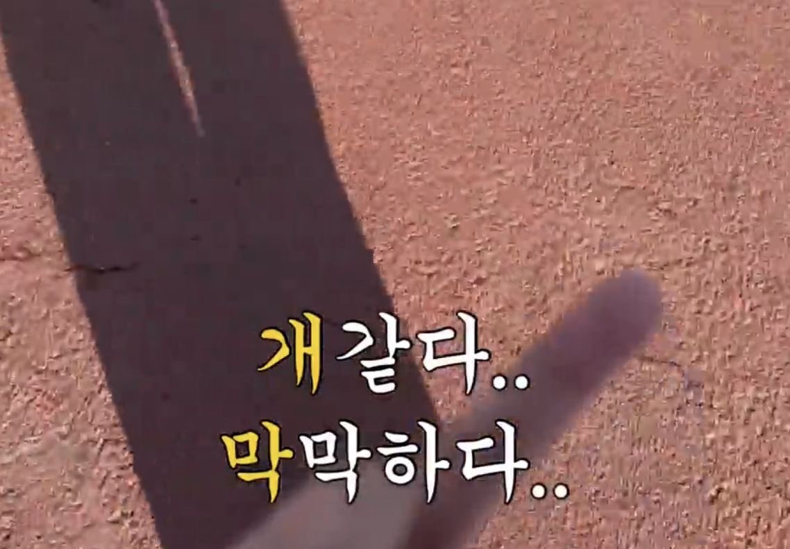 쿠치바시 아히루 tweet media