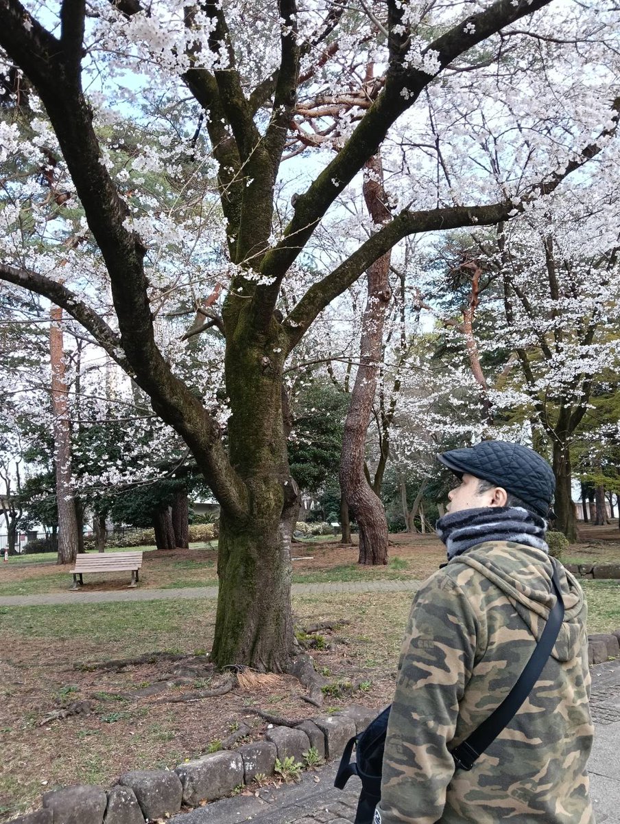 ３月２８日(土)
本日も11:30〜14:30
営業します
夜営業についてはまた後程
お知らせできればと思います。

埼玉はだいぶ桜が満開になってきました
皆さんお花見がてら
よろしければお立ち寄り下さい
ご来店お待ちしております。

昨日仕込み帰りに立ち寄った
大宮公園
荒んだ心が多少浄化された…