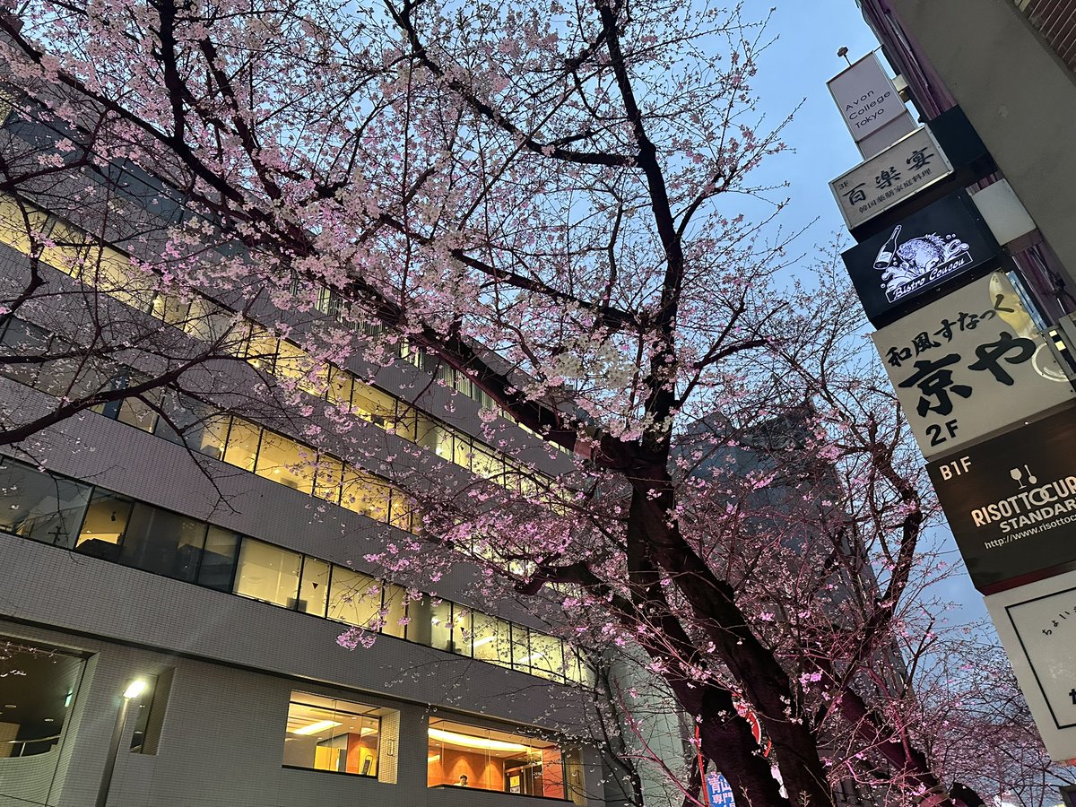 呑兵衛OLアテちゃん tweet media