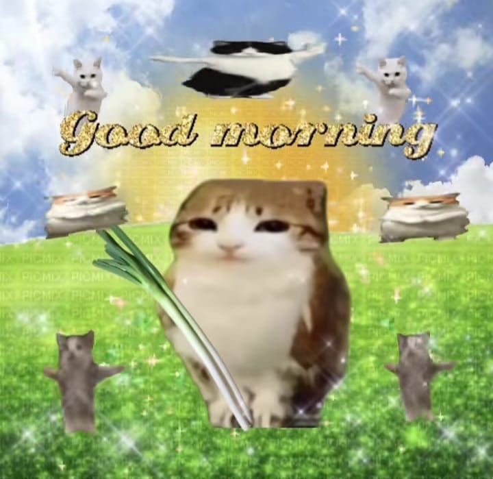 𝓡ara²⁶ 🫧 tweet media