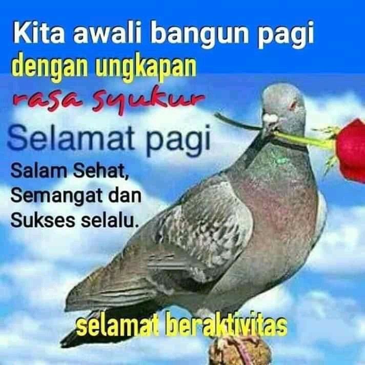 𝓡ara²⁶ 🫧 tweet media