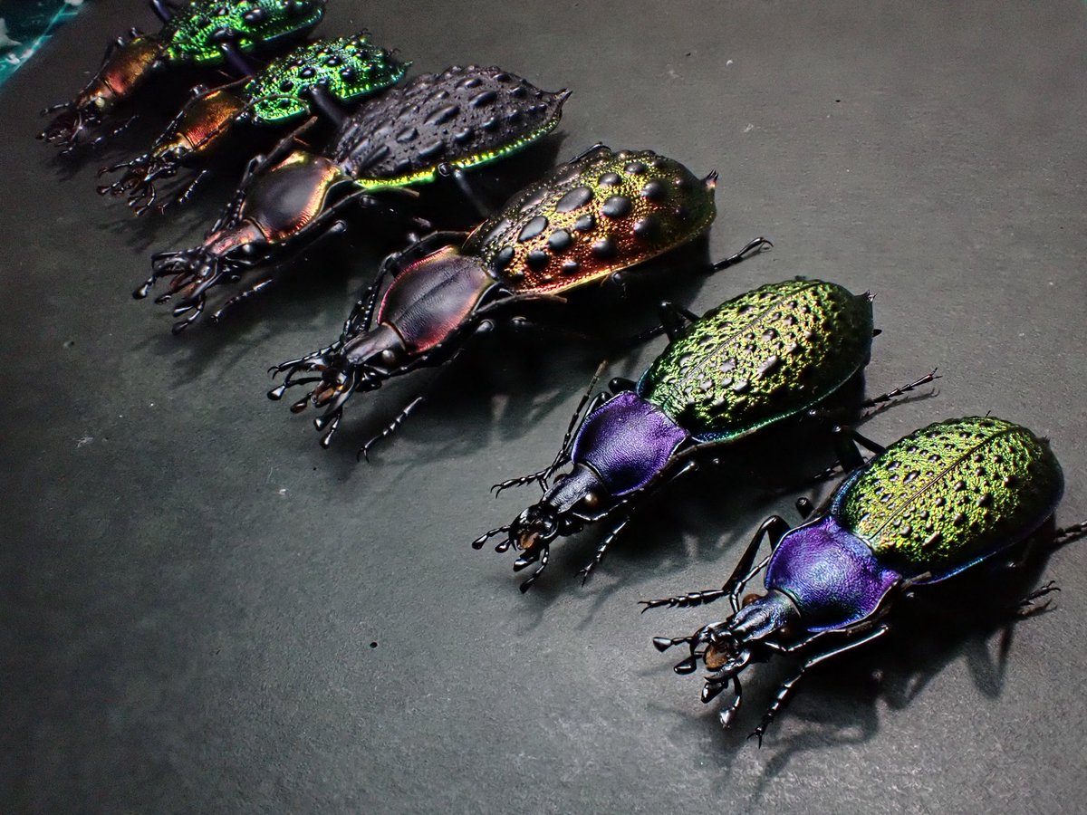 あつすぎ (筬菱会) tweet media