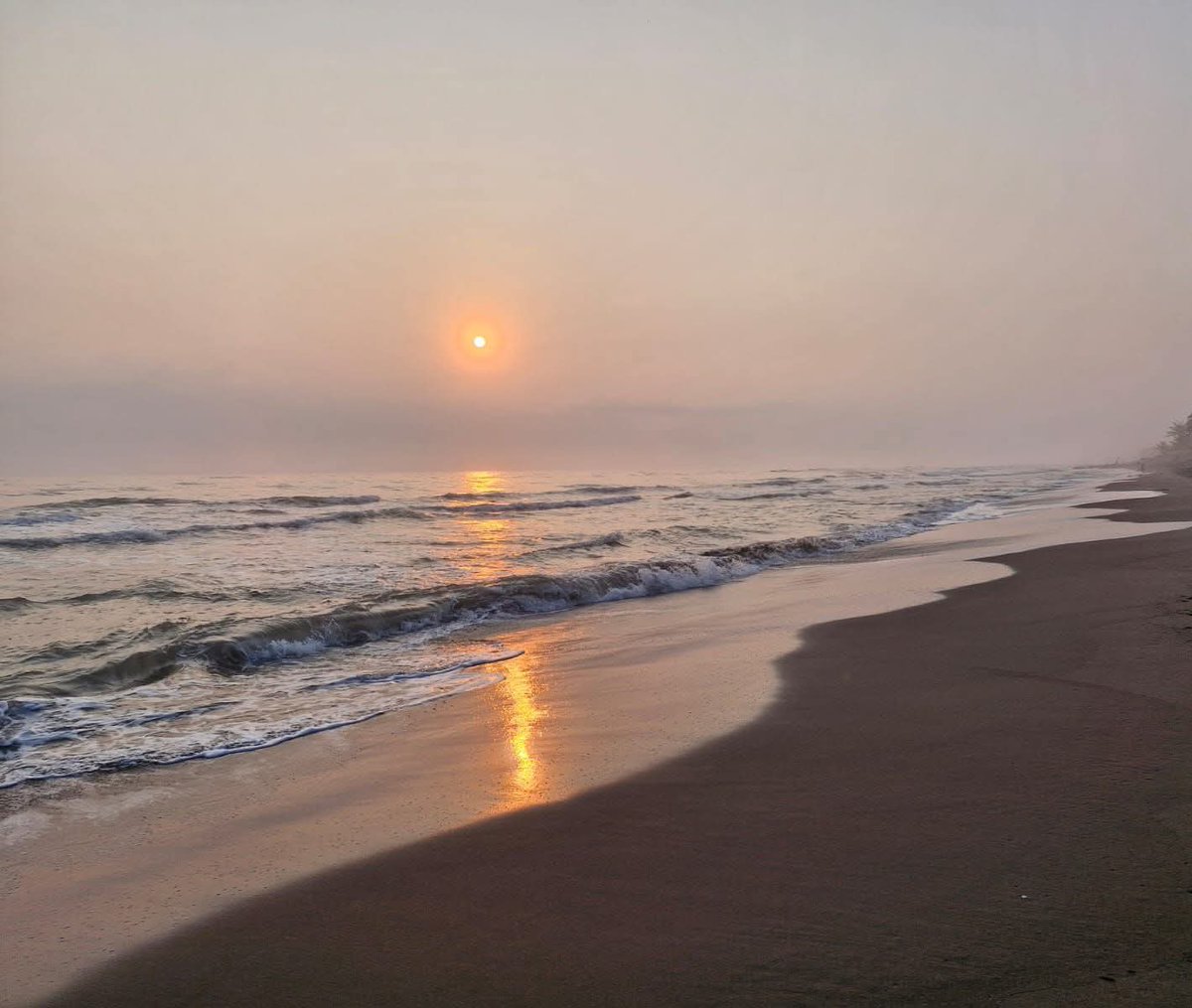 bmartinez0688's tweet photo. La voz del mar le habla al alma.✨️🏖 https://t.co/7hwoedEeTC