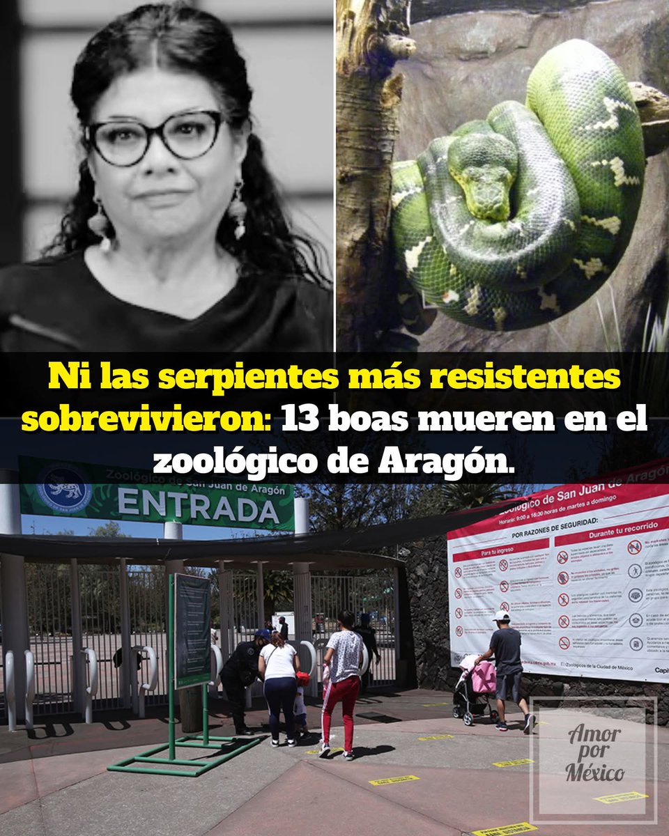 Apaga la televisión tweet media