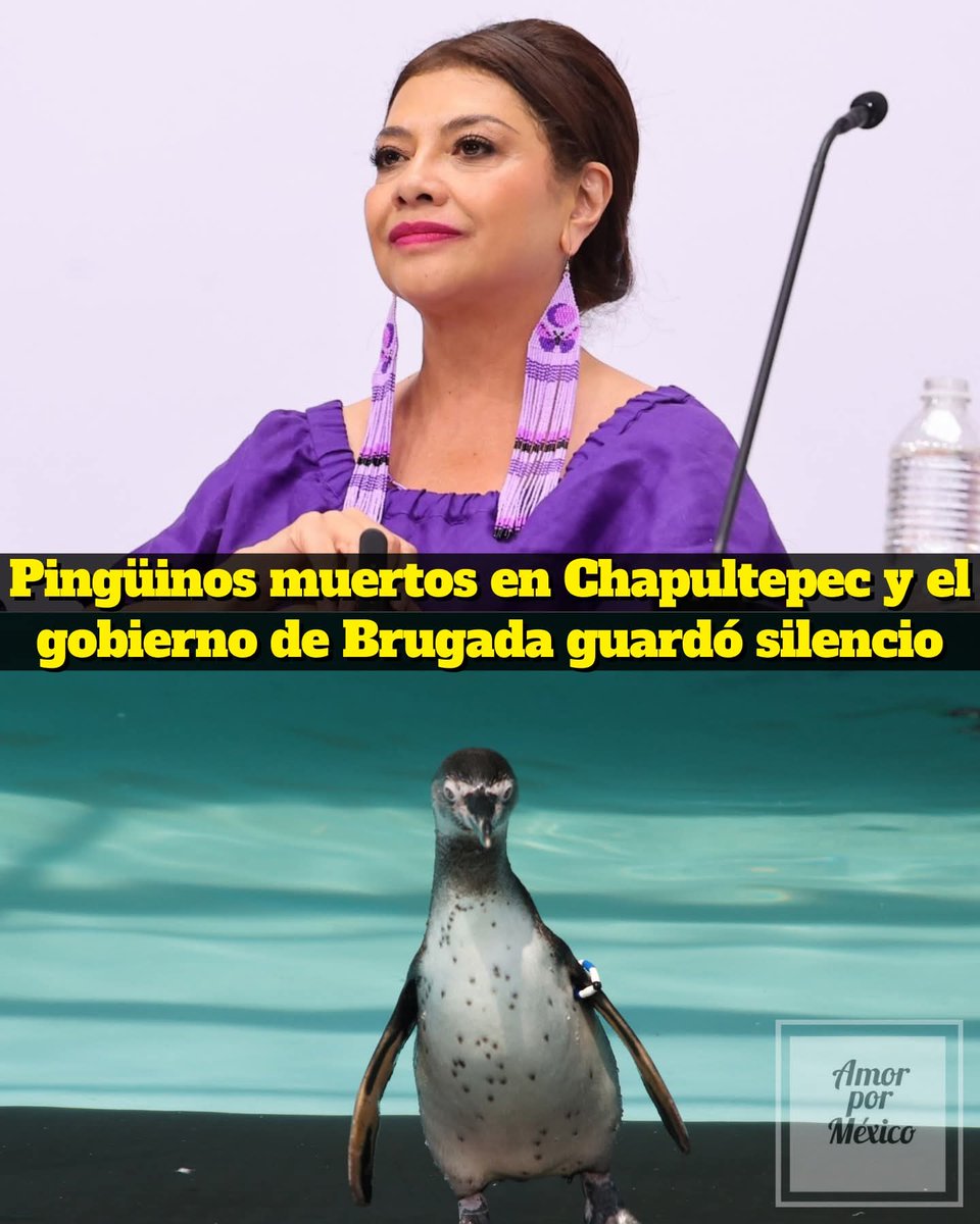 Apaga la televisión tweet media