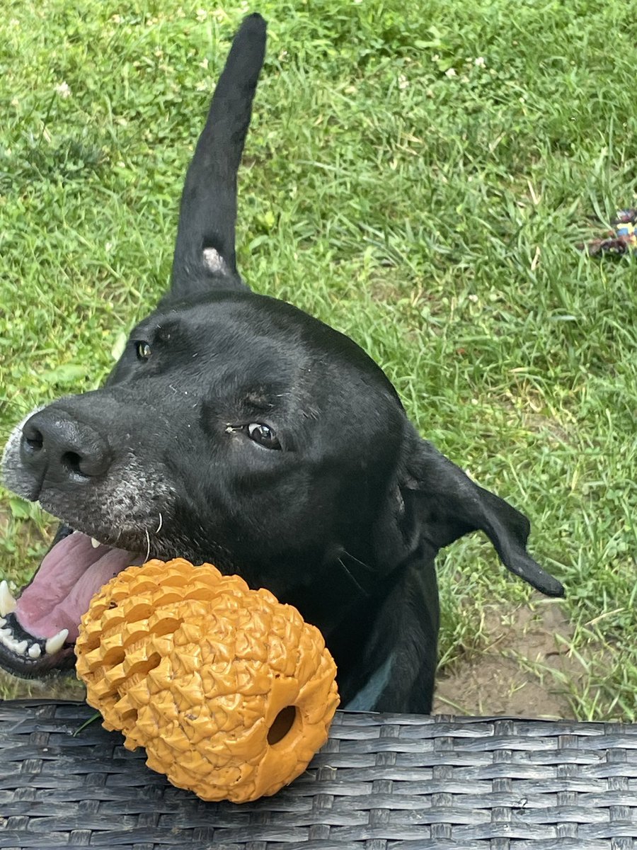 ✰ max/mila ✰ | saw katseye 🇵🇸 tweet media