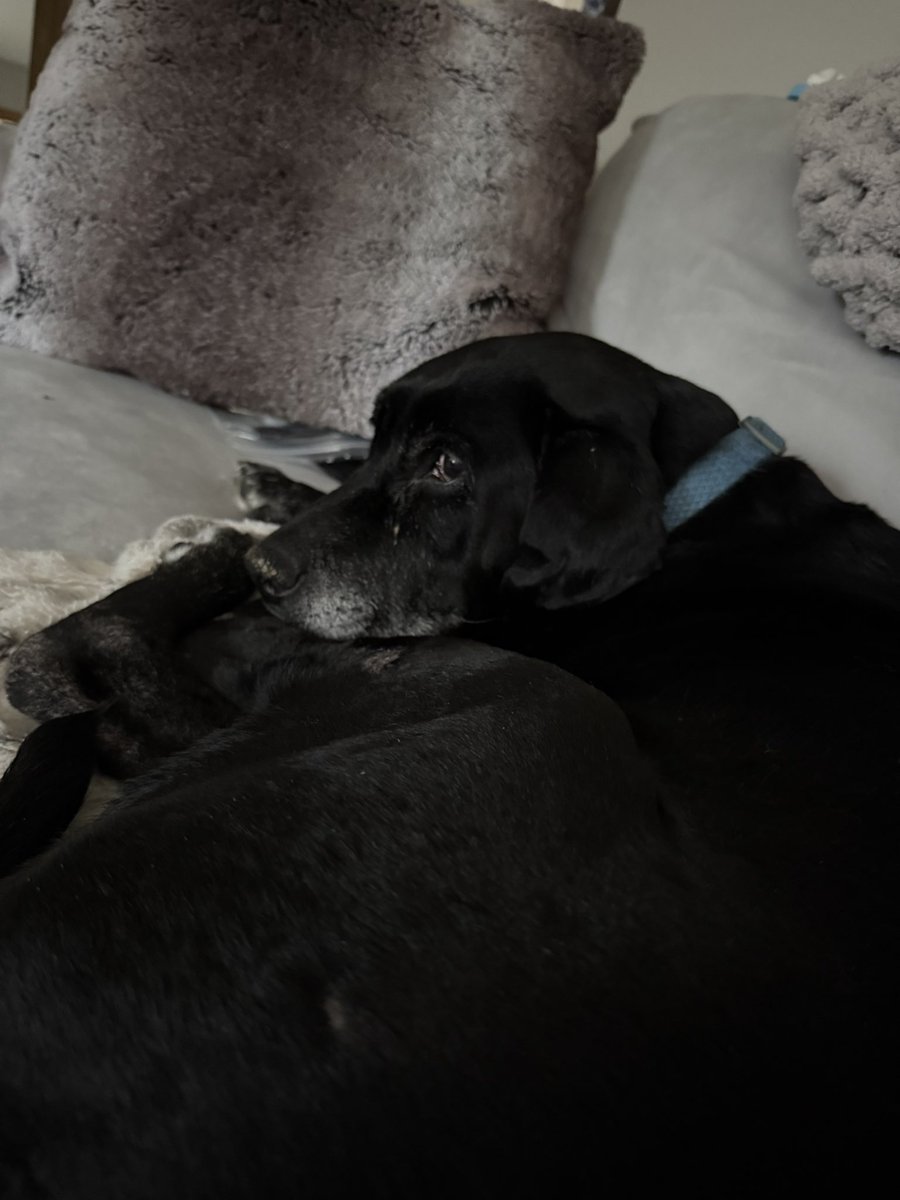 ✰ max/mila ✰ | saw katseye 🇵🇸 tweet media